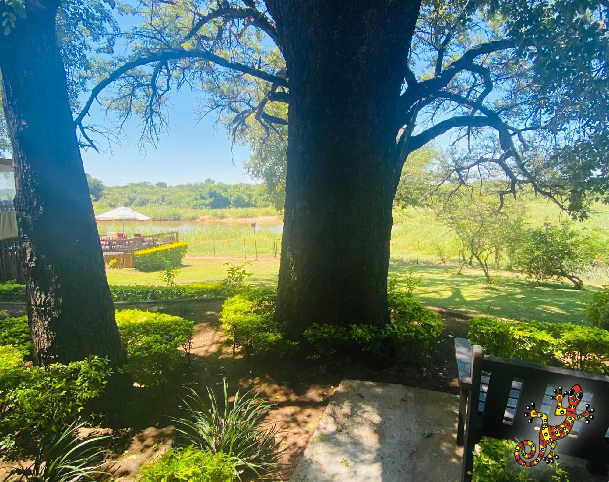 Sabie River Bush Lodge Hazyview Zewnętrze zdjęcie